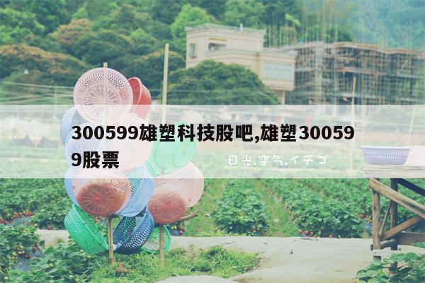 300599雄塑科技股吧,雄塑300599股票