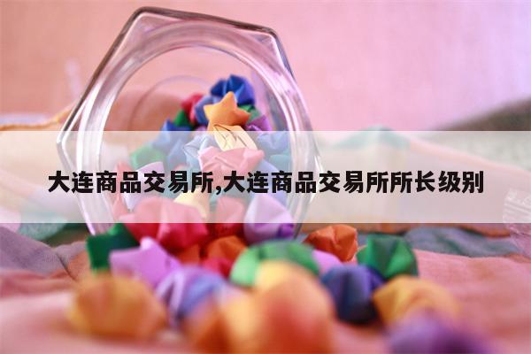 大连商品交易所,大连商品交易所所长级别