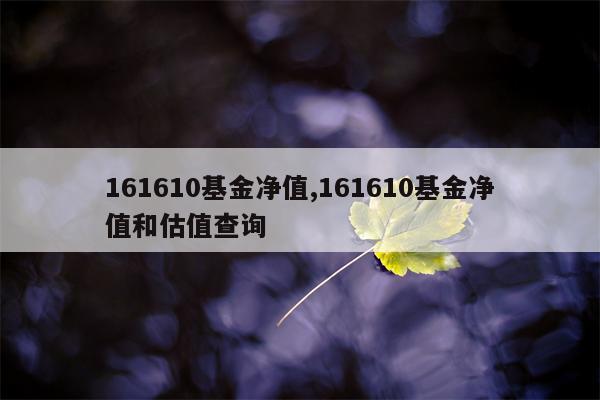 161610基金净值,161610基金净值和估值查询