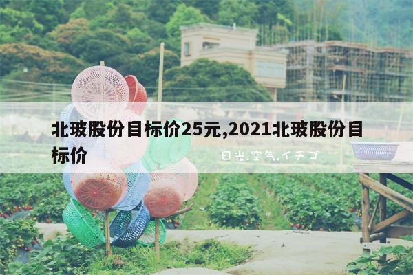 北玻股份目标价25元,2021北玻股份目标价