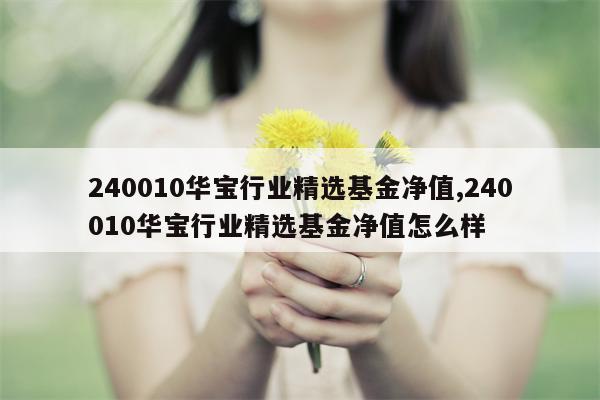 240010华宝行业精选基金净值,240010华宝行业精选基金净值怎么样