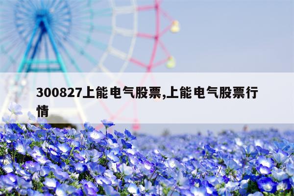 300827上能电气股票,上能电气股票行情