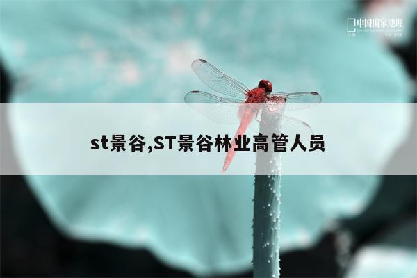 st景谷,ST景谷林业高管人员