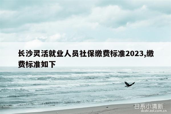 长沙灵活就业人员社保缴费标准2023,缴费标准如下