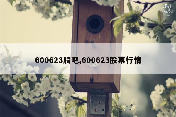 600623股吧,600623股票行情