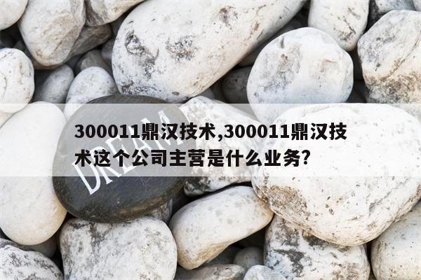 300011鼎汉技术,300011鼎汉技术这个公司主营是什么业务?