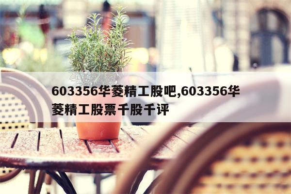 603356华菱精工股吧,603356华菱精工股票千股千评