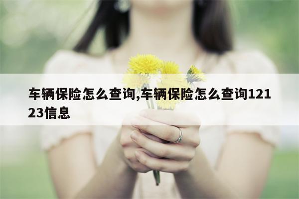 车辆保险怎么查询,车辆保险怎么查询12123信息