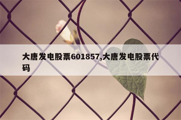 大唐发电股票601857,大唐发电股票代码