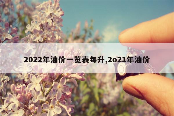 2022年油价一览表每升,2o21年油价