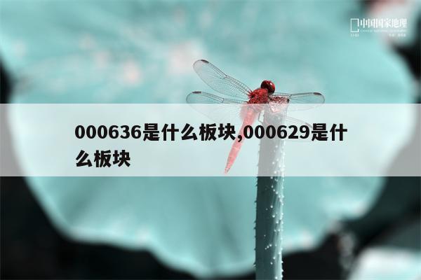 000636是什么板块,000629是什么板块