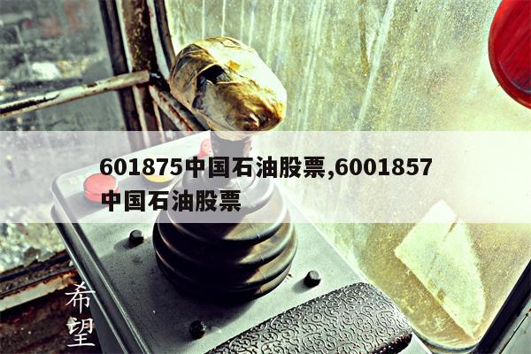 601875中国石油股票,6001857中国石油股票