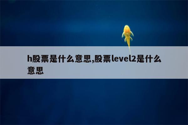 h股票是什么意思,股票level2是什么意思