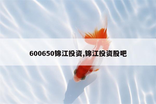 600650锦江投资,锦江投资股吧