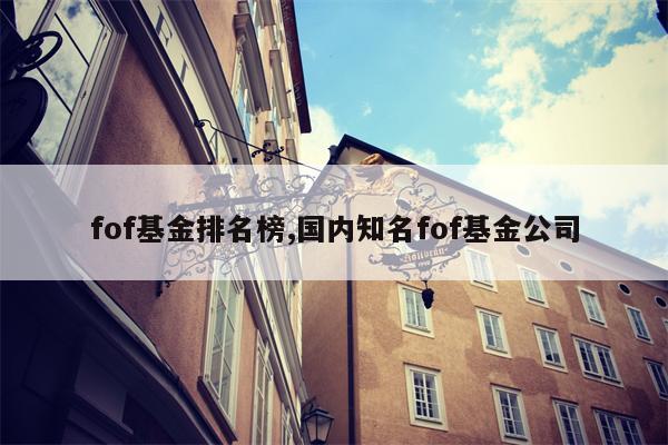 fof基金排名榜,国内知名fof基金公司