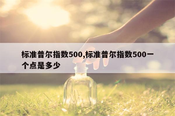 标准普尔指数500,标准普尔指数500一个点是多少