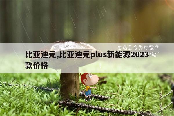 比亚迪元,比亚迪元plus新能源2023款价格