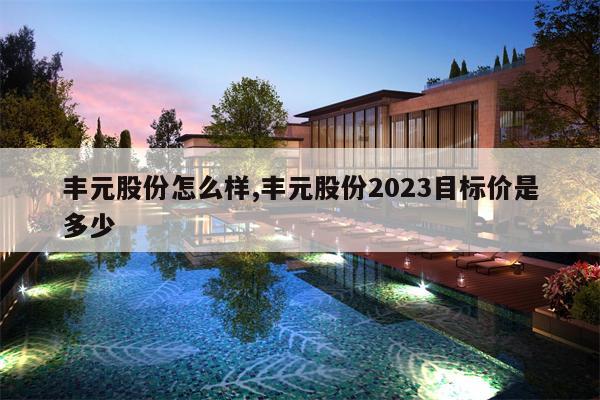 丰元股份怎么样,丰元股份2023目标价是多少