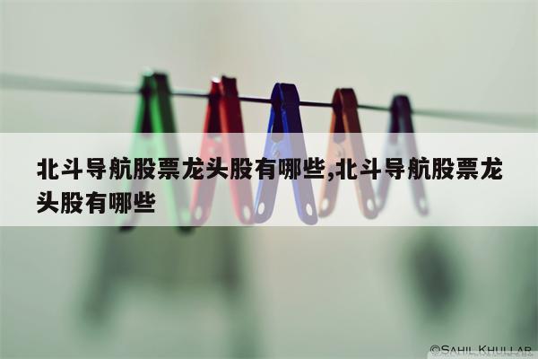 北斗导航股票龙头股有哪些,北斗导航股票龙头股有哪些