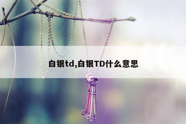 白银td,白银TD什么意思