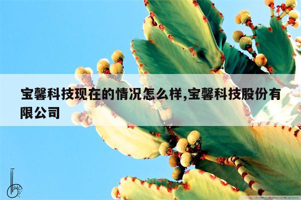 宝馨科技现在的情况怎么样,宝馨科技股份有限公司