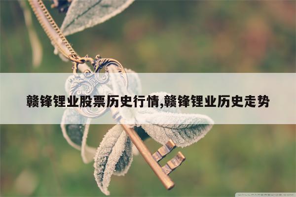 赣锋锂业股票历史行情,赣锋锂业历史走势