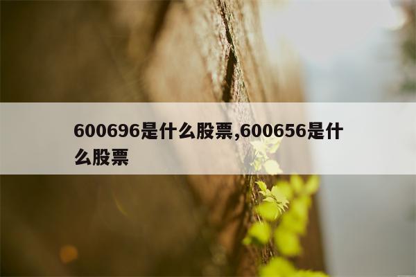 600696是什么股票,600656是什么股票