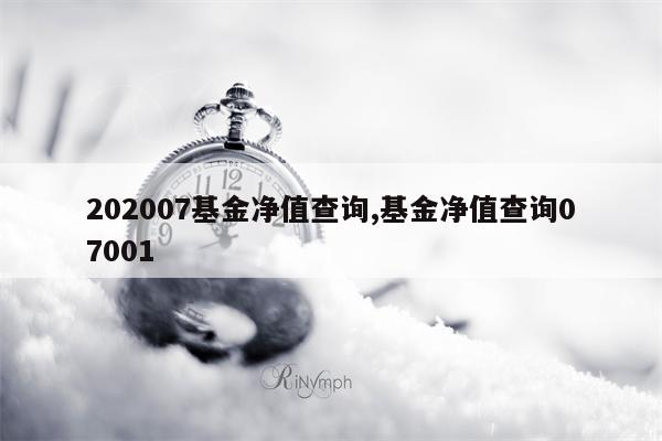 202007基金净值查询,基金净值查询07001