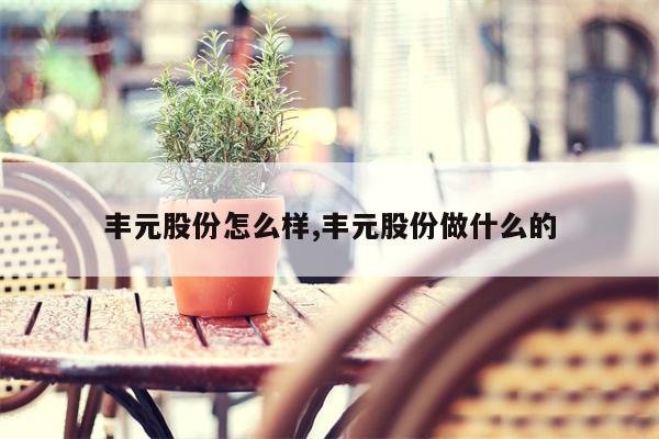 丰元股份怎么样,丰元股份做什么的