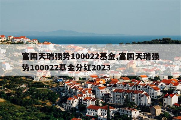 富国天瑞强势100022基金,富国天瑞强势100022基金分红2023