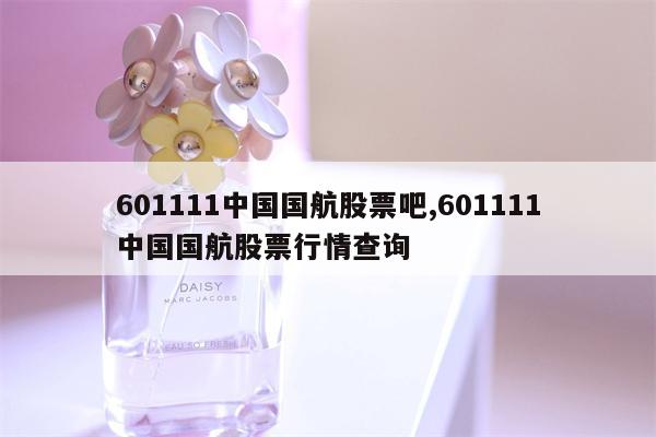 601111中国国航股票吧,601111中国国航股票行情查询