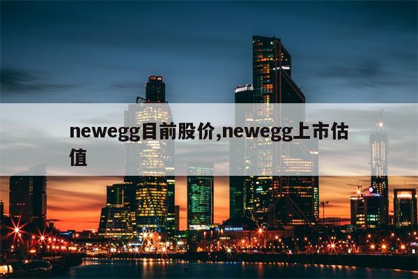 newegg目前股价,newegg上市估值