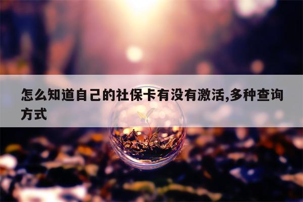 怎么知道自己的社保卡有没有激活,多种查询方式