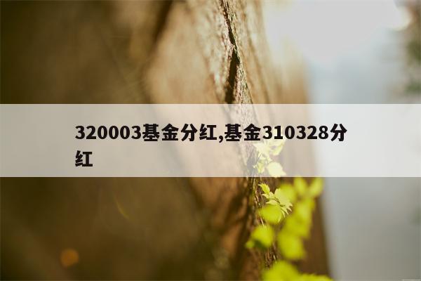 320003基金分红,基金310328分红