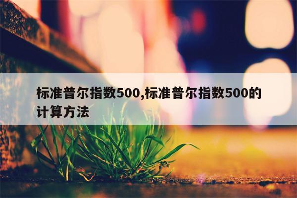 标准普尔指数500,标准普尔指数500的计算方法