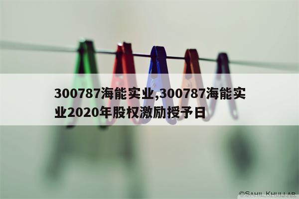 300787海能实业,300787海能实业2020年股权激励授予日