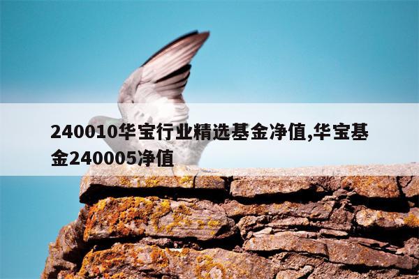 240010华宝行业精选基金净值,华宝基金240005净值