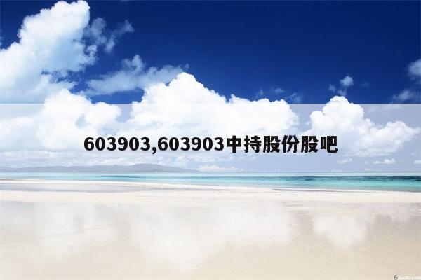 603903,603903中持股份股吧