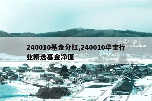 240010基金分红,240010华宝行业精选基金净值