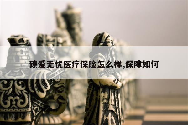 臻爱无忧医疗保险怎么样,保障如何