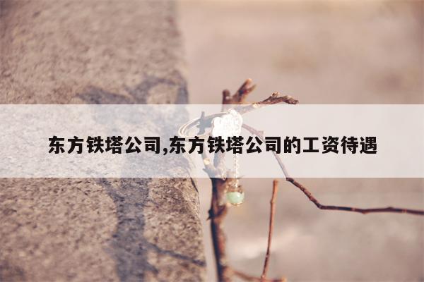 东方铁塔公司,东方铁塔公司的工资待遇