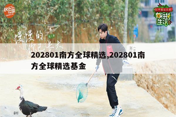 202801南方全球精选,202801南方全球精选基金