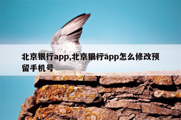 北京银行app,北京银行app怎么修改预留手机号