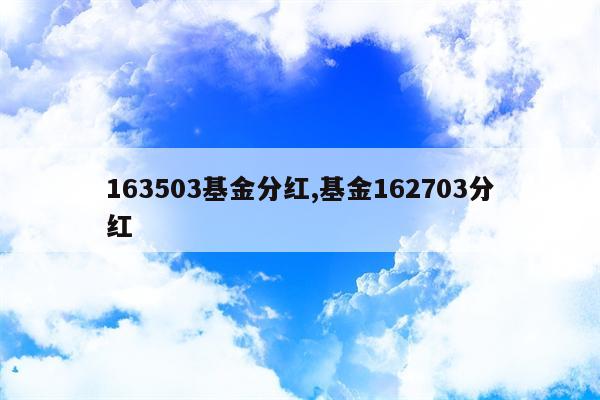 163503基金分红,基金162703分红